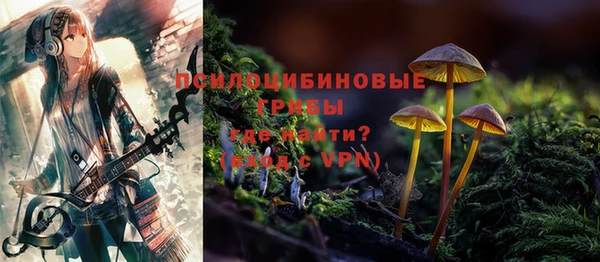 спайс Вяземский