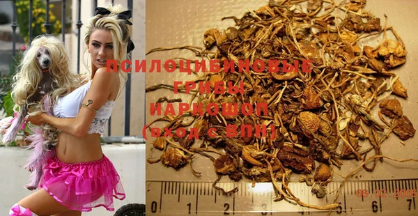 Альфа ПВП Вязьма