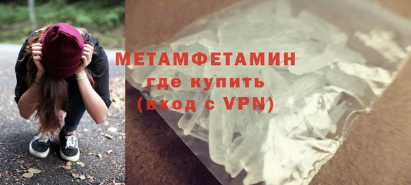 прущие грибы Волоколамск