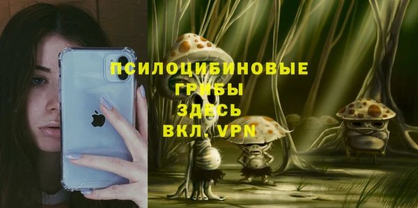 прущие грибы Волоколамск