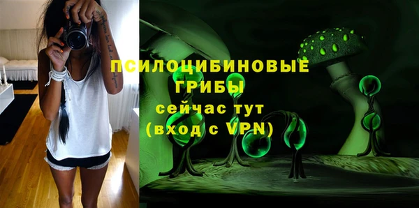 Альфа ПВП Вязьма