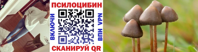 Галлюциногенные грибы MAGIC MUSHROOMS  что такое наркотик  Егорьевск 